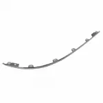 5G1Z17C829AAA - Body: Molding for Ford: Five Hundred Image