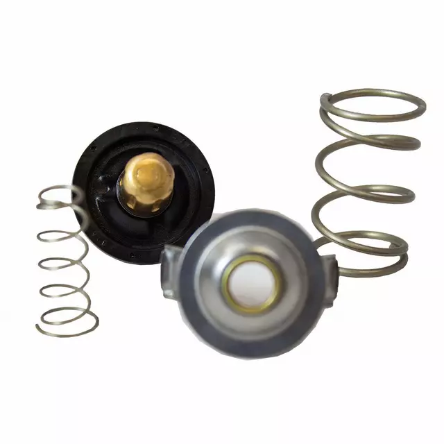 2W9Z8575AB - Cooling System: Thermostat for Ford: Thunderbird | Lincoln: LS Image
