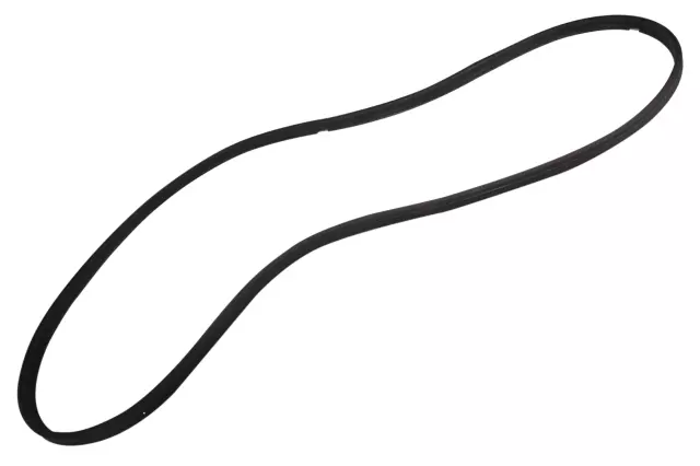 25723799 - Body: Weatherstrip for GM Image