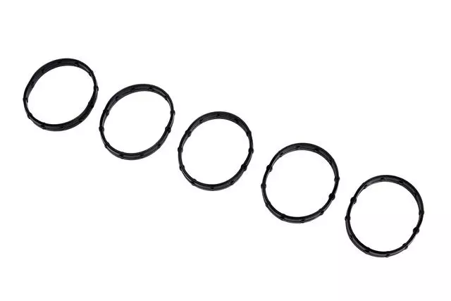 25182513 - : Water Pump Seal for Chevrolet: Spark Image