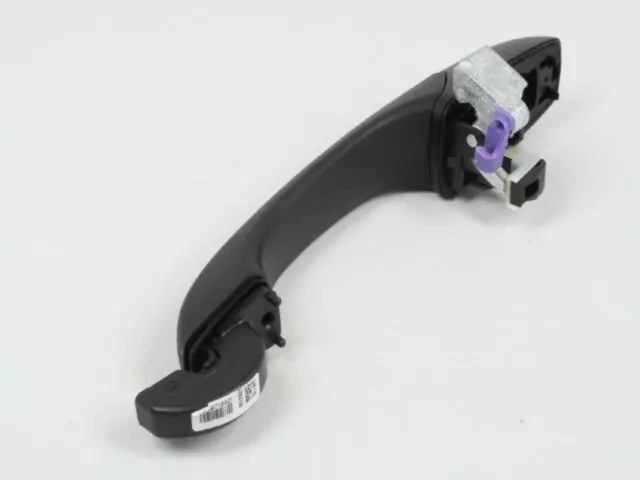 Exterior Door Handle, Right - Mopar (4589716AE)