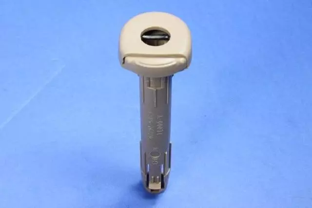 1BU85LTUAA - Interior Trim: Headrest Sleeve, Locking for Chrysler: Town &amp; Country | Dodge: Grand Caravan | Ram: C/V Image