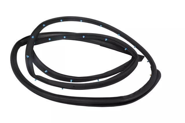 42763357 - : Door Weather-Strip for Buick: Encore | Chevrolet: Trax Image