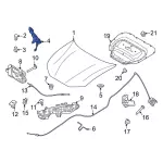 LJ8Z16796B - : Hinge for Ford: Mustang Mach-E Image