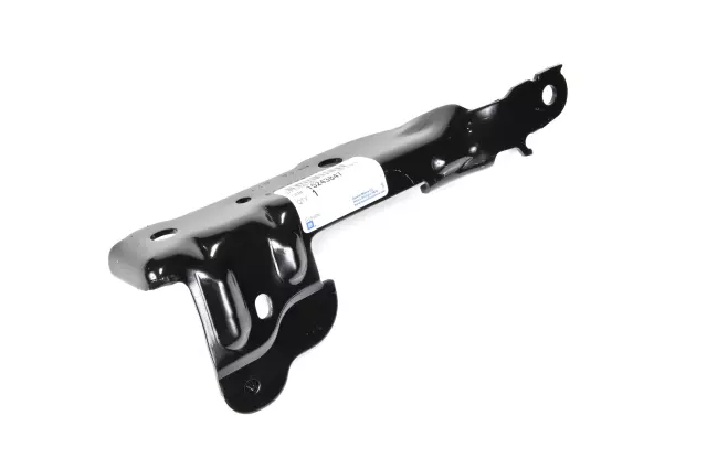 15243847 - Body: Hinge Assembly for Chevrolet: Silverado 1500, Silverado 2500 HD, Silverado 3500 HD | GMC: Sierra 1500, Sierra 2500 HD, Sierra 3500 HD Image