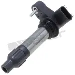 9212109 - : ThunderSpark 921-2109 Ignition Coil for ThunderSpark Image