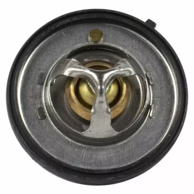 Thermostat Assembly - Ford (QRT63)