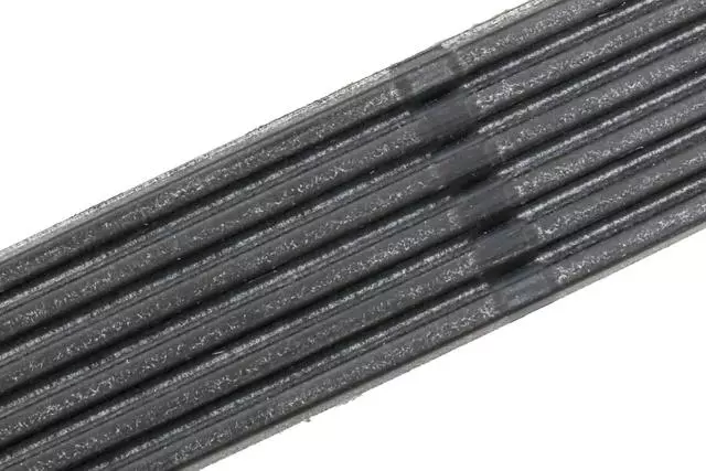 12669858 - : V-Ribbed Serpentine Belt for GM Image