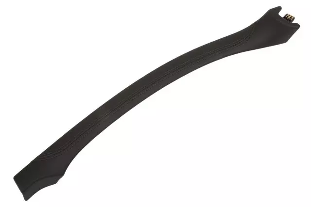 26695124 - Body: Applique Panel for GM Image