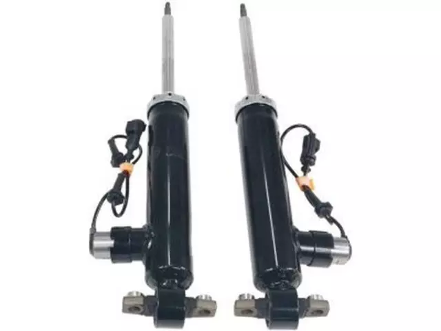 Shock Absorber - Ford (EG9Z-18125-L)