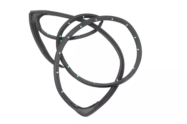 Door Weather-Strip - GM (42785950)