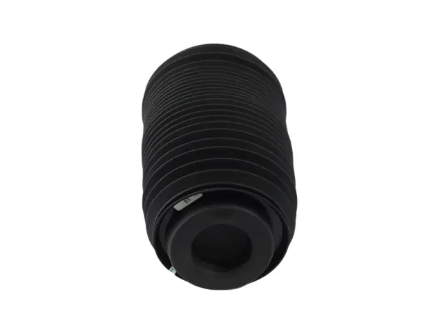 68372517AD - : Air Suspension Spring, Left for Mopar Image