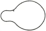 GS33433 - : Engine Water Pump Gasket for Mahle Image