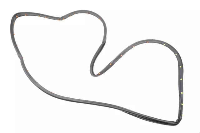 84228137 - : Door Weather-Strip for GM Image