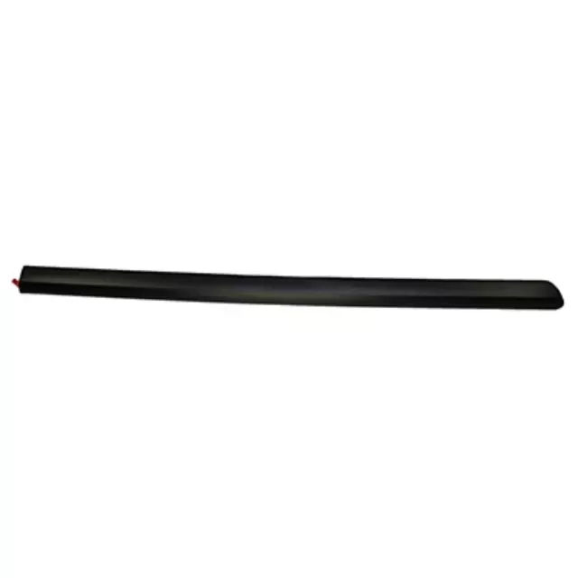 2F2Z1620879AAA - Body: Body Side Molding for Ford: Freestar Image