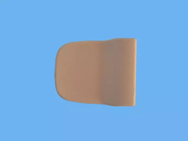 Grab Handle Cover - Mopar (1RK69ML2AA)