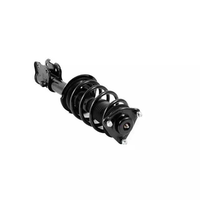 Strut - GM (19471509)