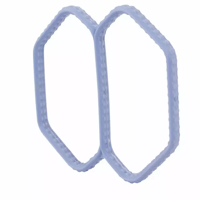 Fuel Injection Idle Air Control Valve Gasket - Ford (XF2Z-9F670-AA)