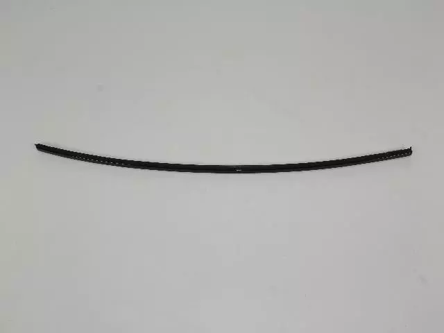 YA00P41AA - Exterior  Ornamentation: Drip Rail Molding, Right for Mopar Image