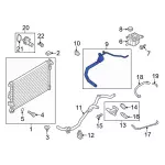 BB5Z8260F - Cooling System: Upper Hose for Ford: Explorer Image
