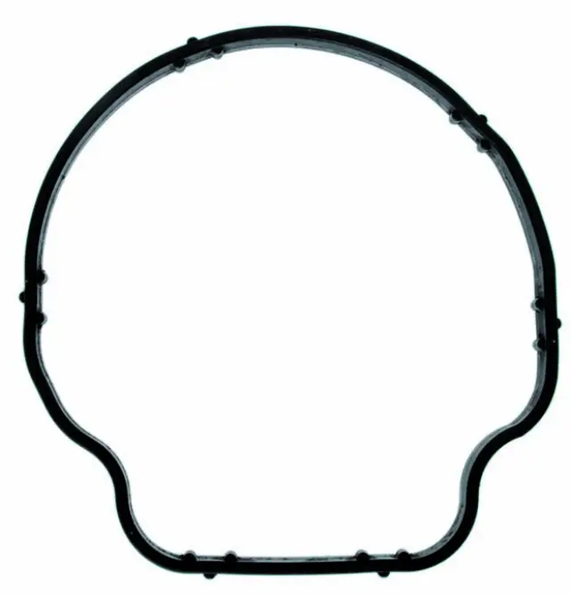 79707 - Cooling Systems: Engine Coolant Thermostat Gasket for FACET FUEL PUMPS Image