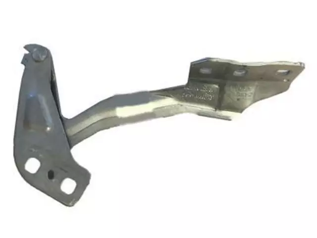 2013-2020 Ford Hinge - Ford (DS7Z-16797-A)