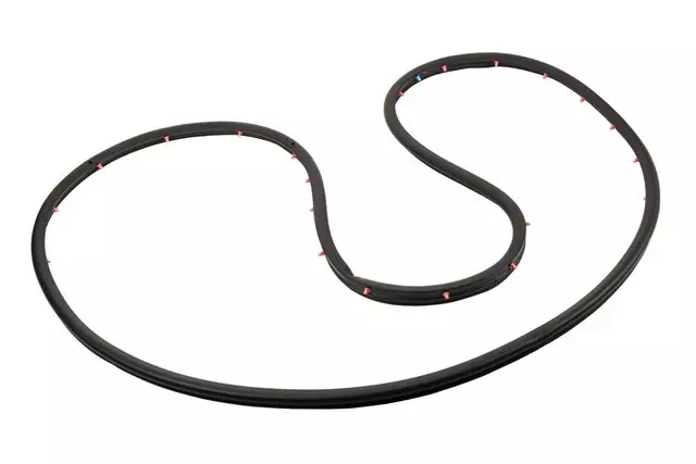 Passenger Side Rear Door Weatherstrip - GM (23282068)