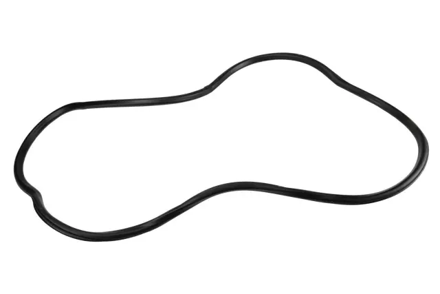 20944472 - : Front Side Door Weatherstrip for GM Image