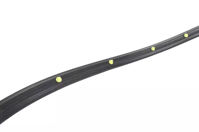 22973970 - : Door Weather-Strip for Buick: LaCrosse Image