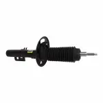 AST394 - : Suspension Strut Assembly for Motorcraft Image