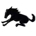 N2DZ7842528Y - : Ornament for Ford Image