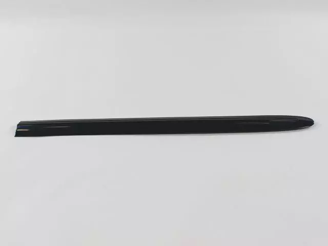 SV27WB7AA - Exterior Ornamentation: Sliding Door Molding, Left for Mopar Image image