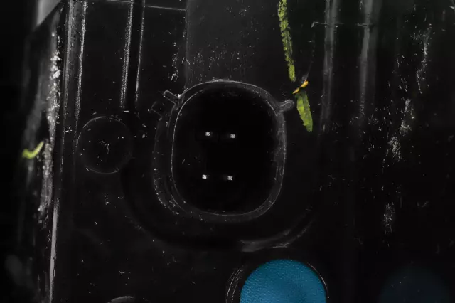 Rear Passenger Side Stop Lamp - GM (84769838)