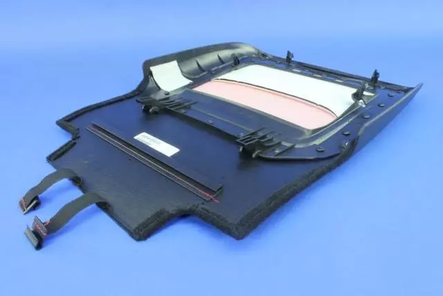 1UV14DX9AB - Interior Trim: Front Seat Back Panel for Dodge: Challenger Image