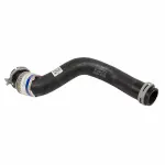 KM5598 - Belts &amp; Cooling: Motorcraftâ„¢ Radiator Coolant Hose for Ford: Focus Image