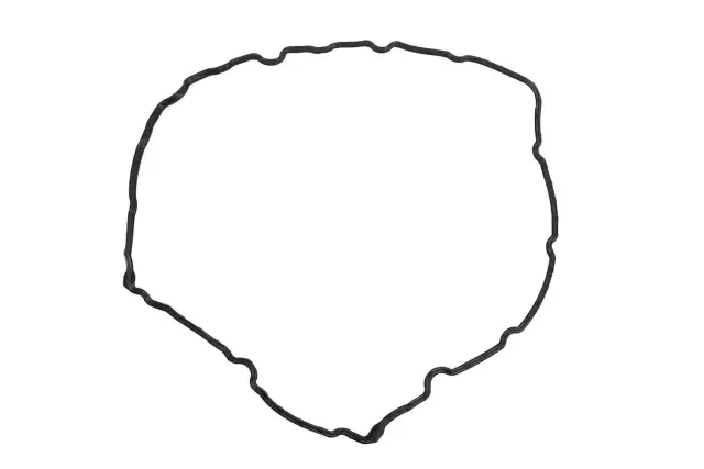 Driver Side Camshaft Cover Seal - GM (12595106)