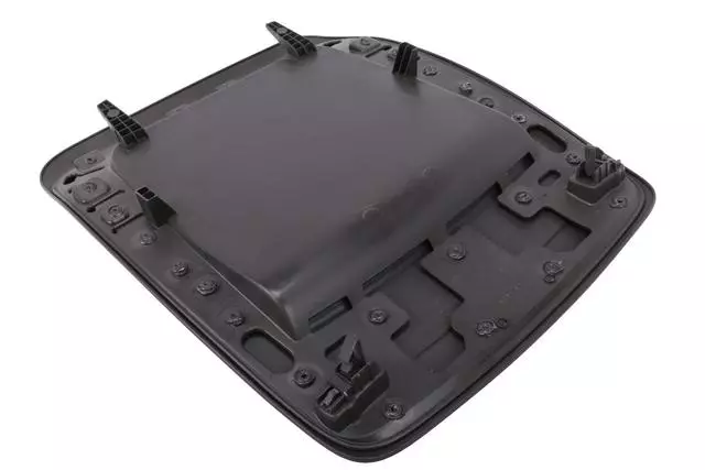 22913839 - Body: Seat Back Panel for Buick: Enclave Image