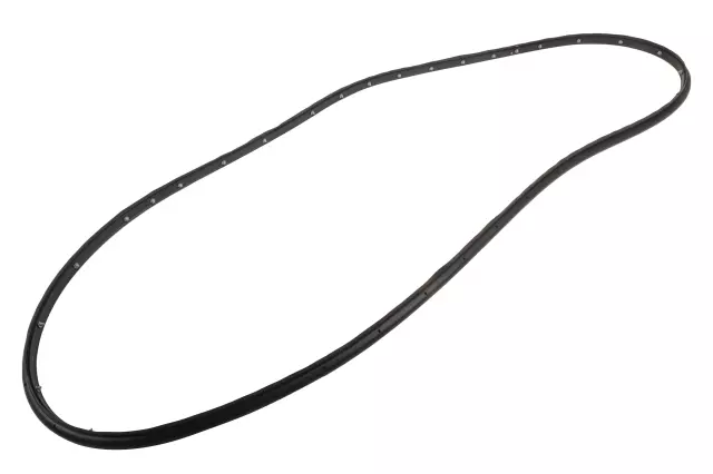 Door Weather-Strip - GM (84644004)