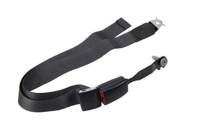 19177725 - Electrical: Center Belt Assembly for GM Image