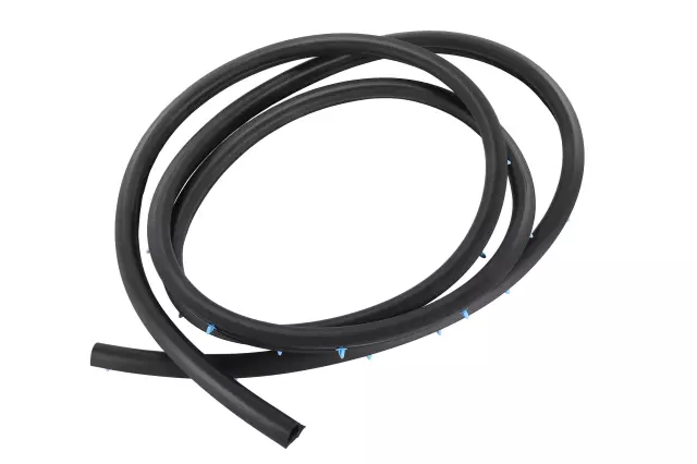 Door Weather-Strip - GM (39203329)