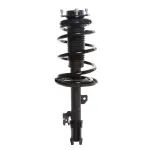 816550 - : PRT 816550 Suspension Strut and Coil Spring Assembly for PRT PERFORMANCE RIDE Image