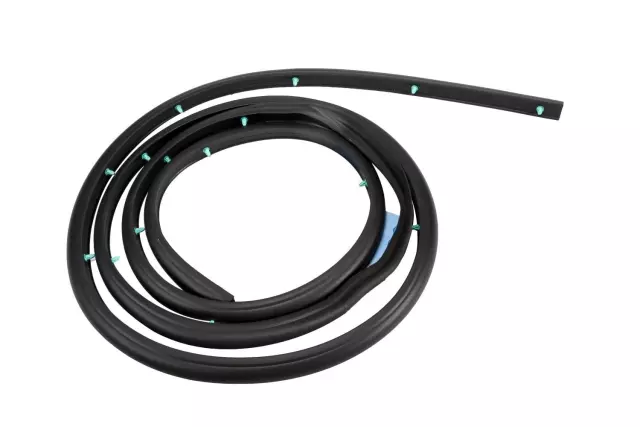 25977402 - : Driver Side Front Door Auxiliary Weatherstrip for Hummer: H2 Image