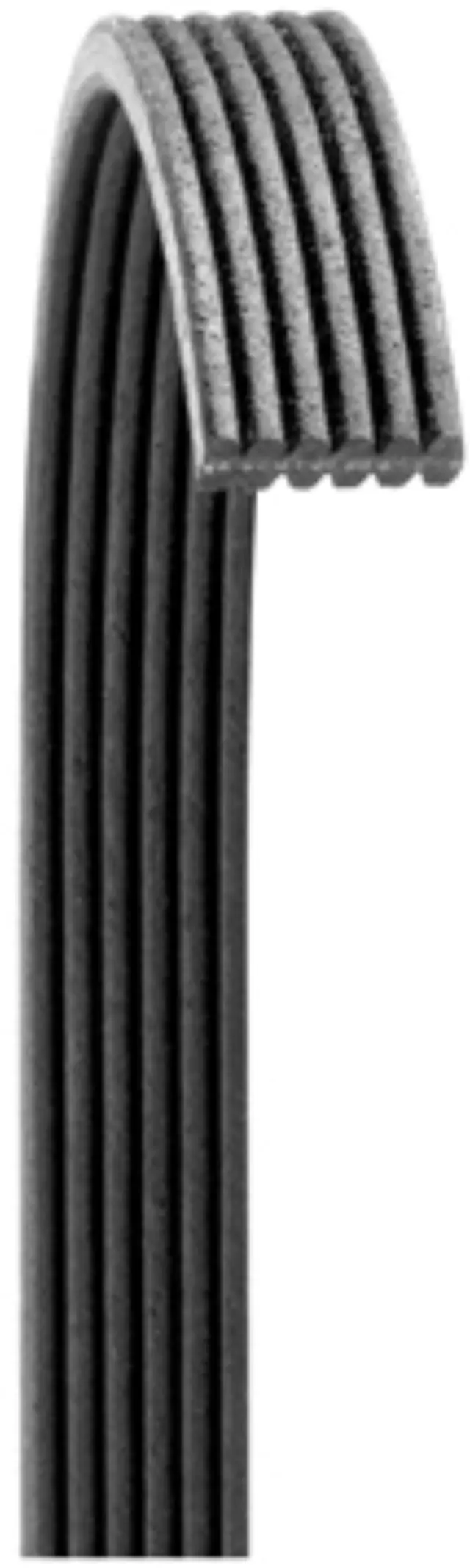 6060902 - : Serpentine Belt for DAYCO HYDRAULIC Image