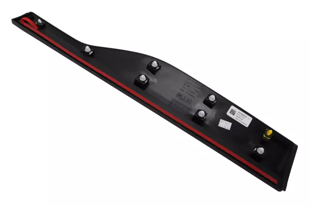 Rear Driver Side Door Lower Molding - GM (42782314)