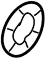 4026492G00 - : Wheel Bearing Washer for Infiniti Image