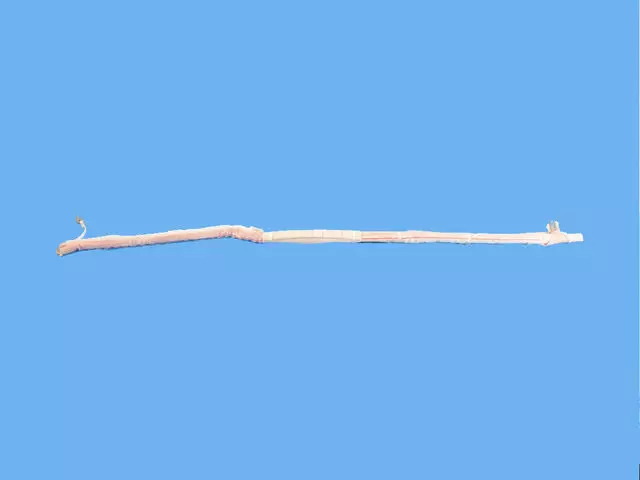 Side Curtain Air Bag, Left - Mopar (68466843AA)