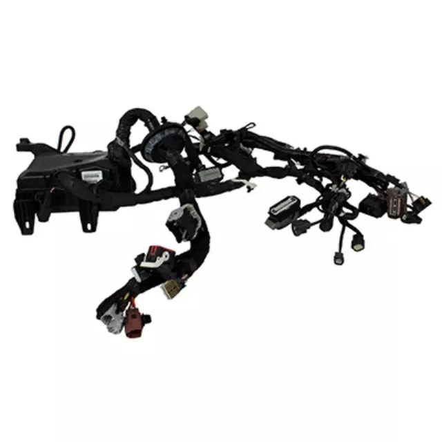 Wire Assembly - Ford (FL3Z-12A581-BX)