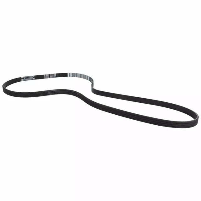 2013-2022 Ford - Serpentine Belt - Ford (CV6Z-8620-E)