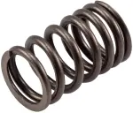 VS140 - : Stock Replacement Valve Spring for Melling Image