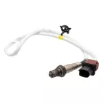 とんぬ⭐︎ 2020-2022 Ford Escape Oxygen Sensor LX6Z-9F472-N | OEM Parts